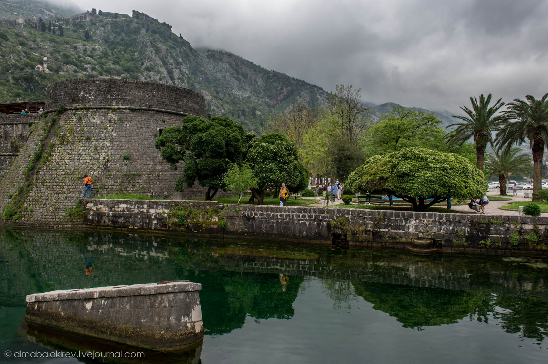 Kotor